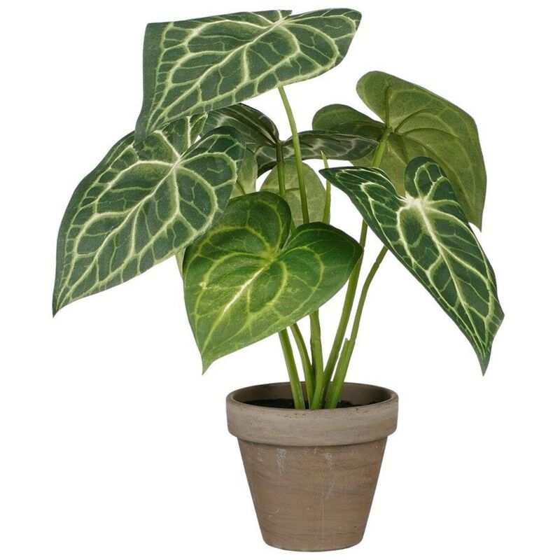 Mica Decorations - Mica Dekorationen Dekorative Caladium Dekorative Pflanze ø 21 x 28 cm Künstlich