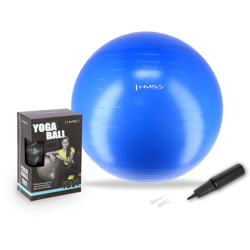 Yb01 Neu 55cm Blauer Gymnastikball Hms