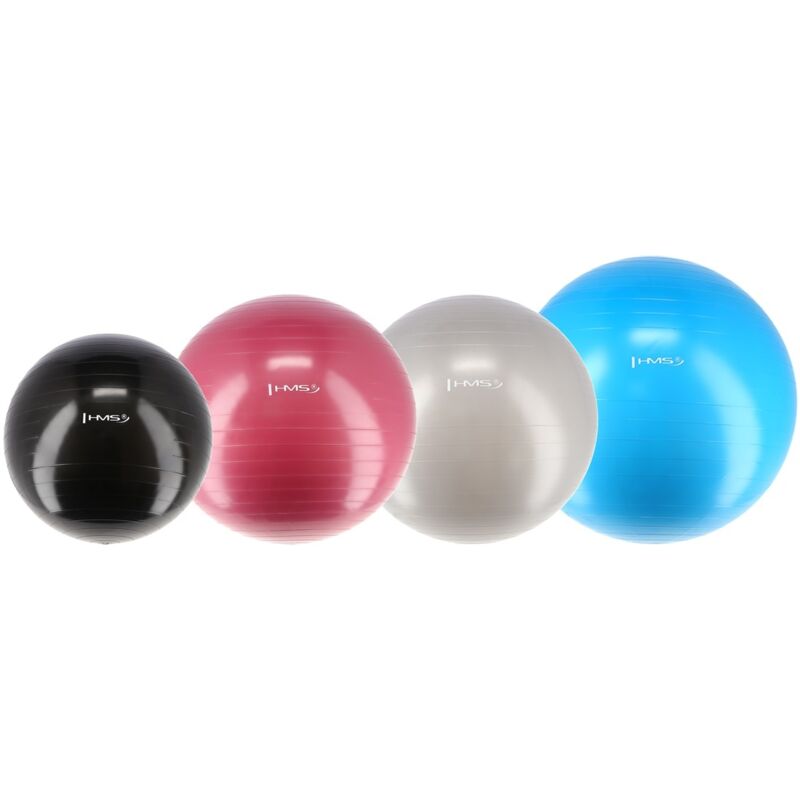 Yb01 Neu 55cm Rosa Gymnastikball Hms