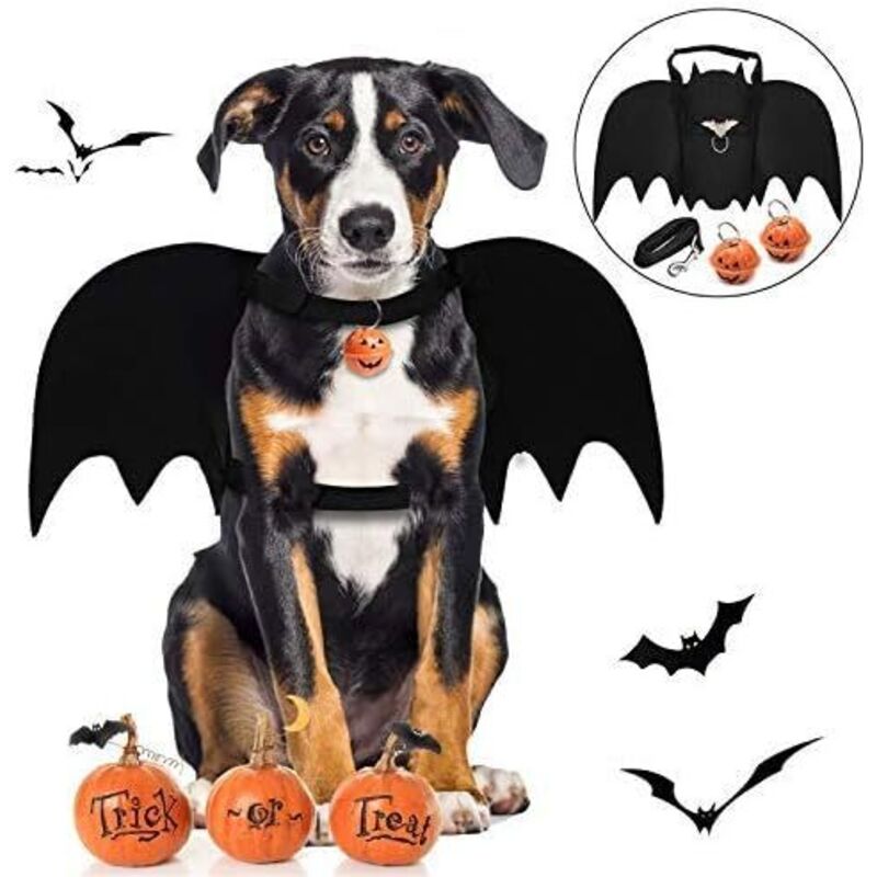 Halloween-Fledermauskostüm für Hunde, Fledermausflügel für Hunde/Hundekostüme/Halloween-Kostüme für Haustiere für große und mittelgroße Hunde,
