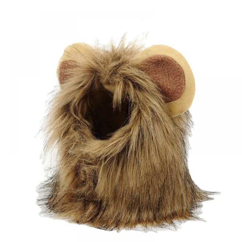 Halloween-Kostüme – Kätzchen – s – Halloween, Katzengeburtstage, Katzen-Cosplay, Katzenkostüme, Haustierkostüme