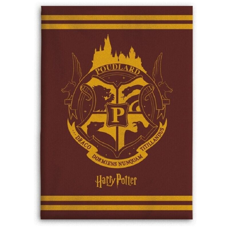 Harry Potter Decke – Wohndecke 130x160 cm für Kinderzimmer und mehr