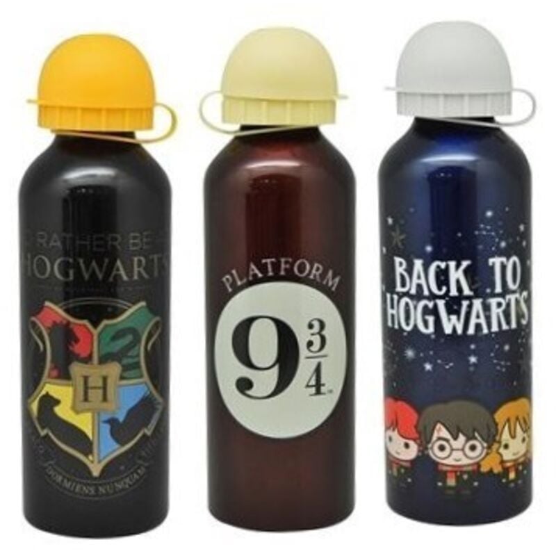 Harry Potter Kinder Euroswan 500ml Aluminiumflasche