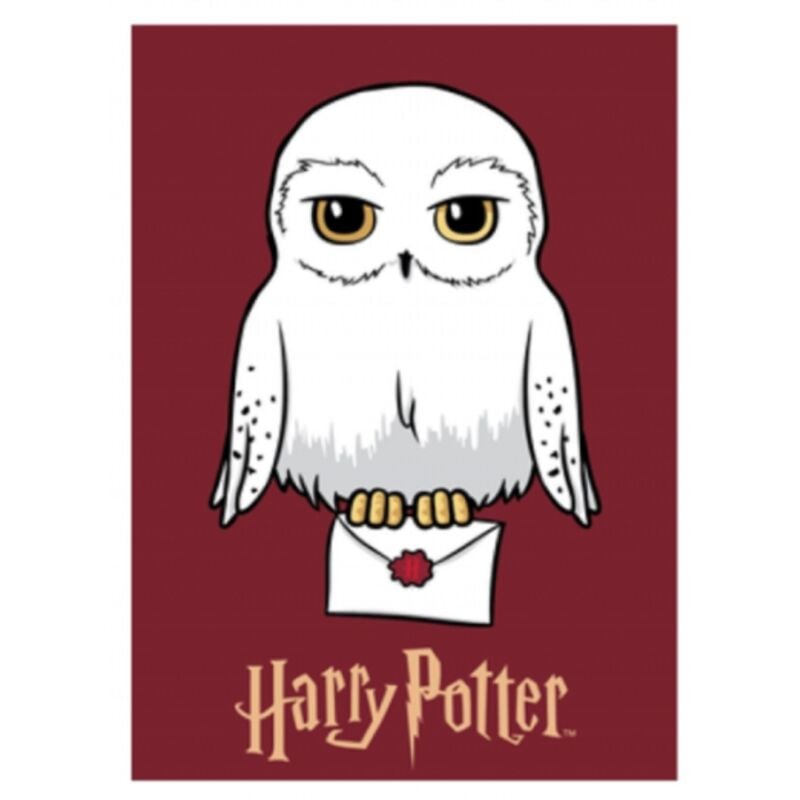 Harry Potter Kuscheldecke für Kinder – Fleecedecke für magische Momente