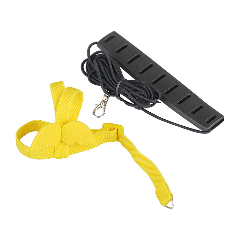 Bluedeer - Haustier Geschirr und Leine verstellbar für Papageien Vogel Trainingsseil Nylon verstellbar Vogel Geschirr und Leine für den Außenbereich