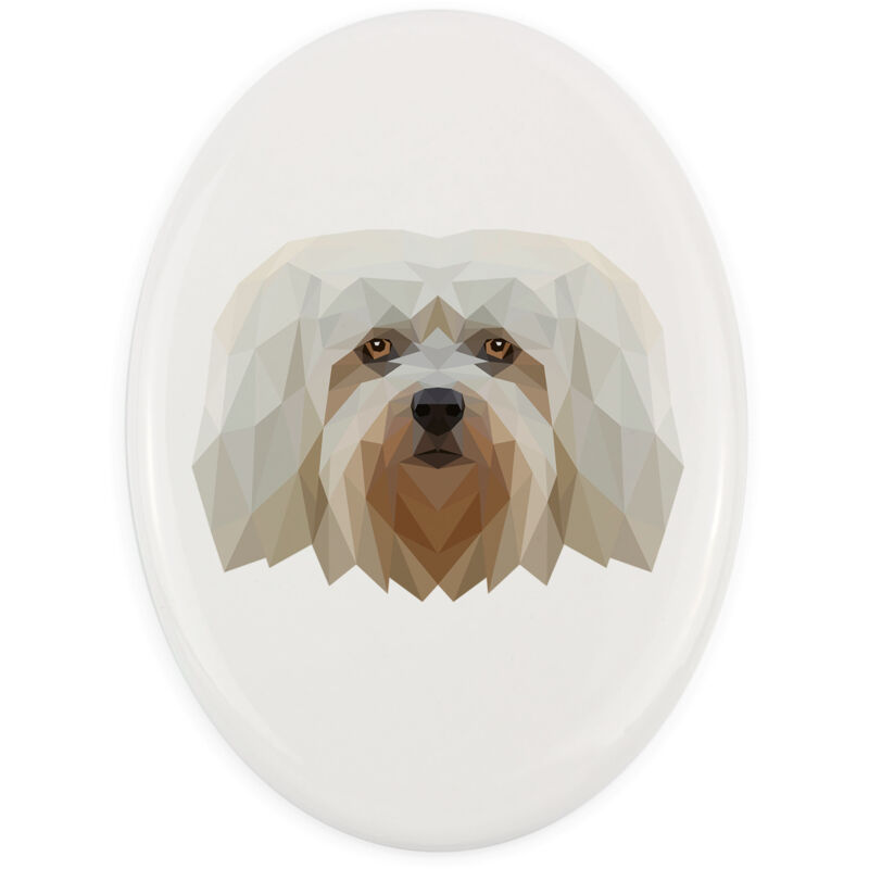 Havaneser - ein Schild mit Foto und geometrischer Aufschrift von Art-Dog