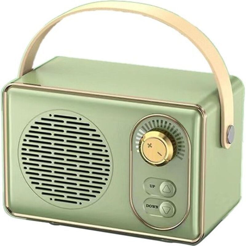 Hochwertiger Retro-Bluetooth-Lautsprecher – Bluetooth-Lautsprecher – mit extrem langer Akkulaufzeit – Gemüse