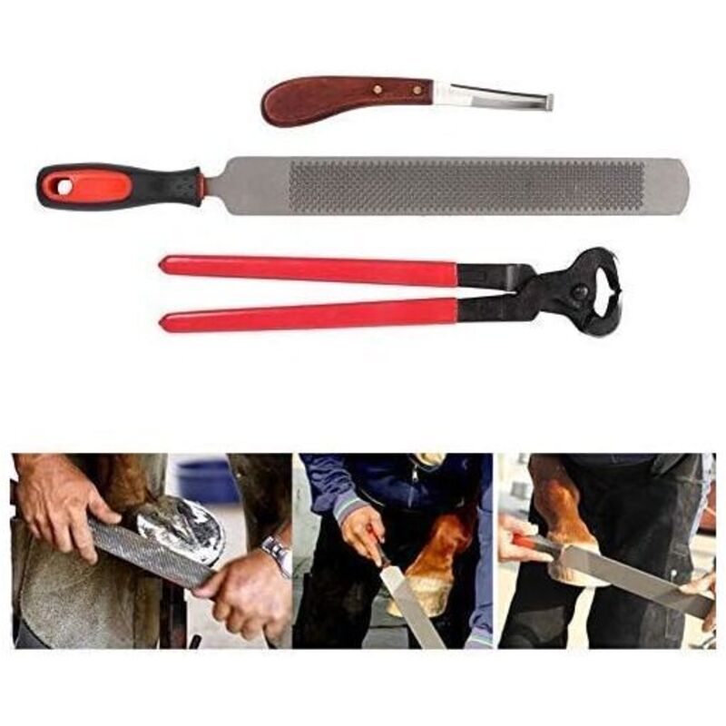 Hufpflege für Pferde, Huffeile, Huffeile für Pferde, doppelseitige Huffeile mit professioneller Sondierzange, Hufmesser