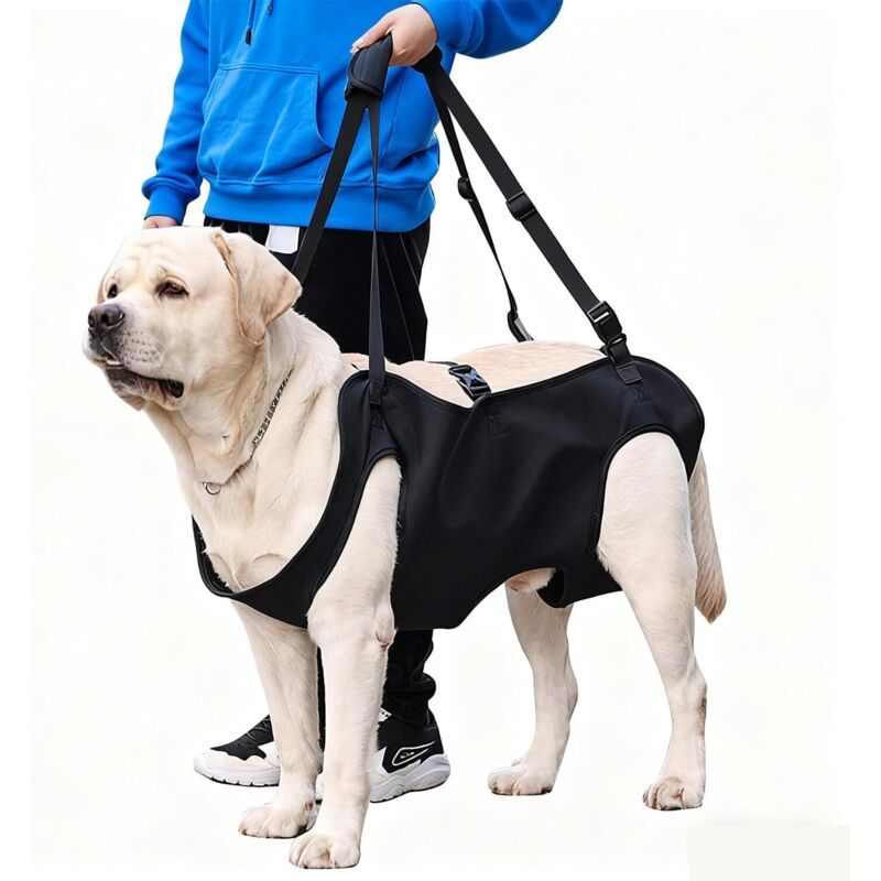 Hunde-Hebegeschirr/Transportgeschirr, Hunde-Hebegeschirr, Hunde-Hebegeschirr, Hinterbein-Sicherheitsstütze, für ältere Hunde, Gelenkverletzungen,