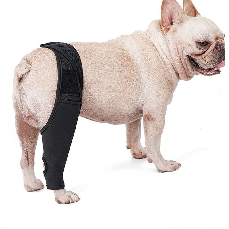Hunde-Kniebandage Befestigungsbeingurt Oberschenkelschutz (L) Schwarz 1 Stück