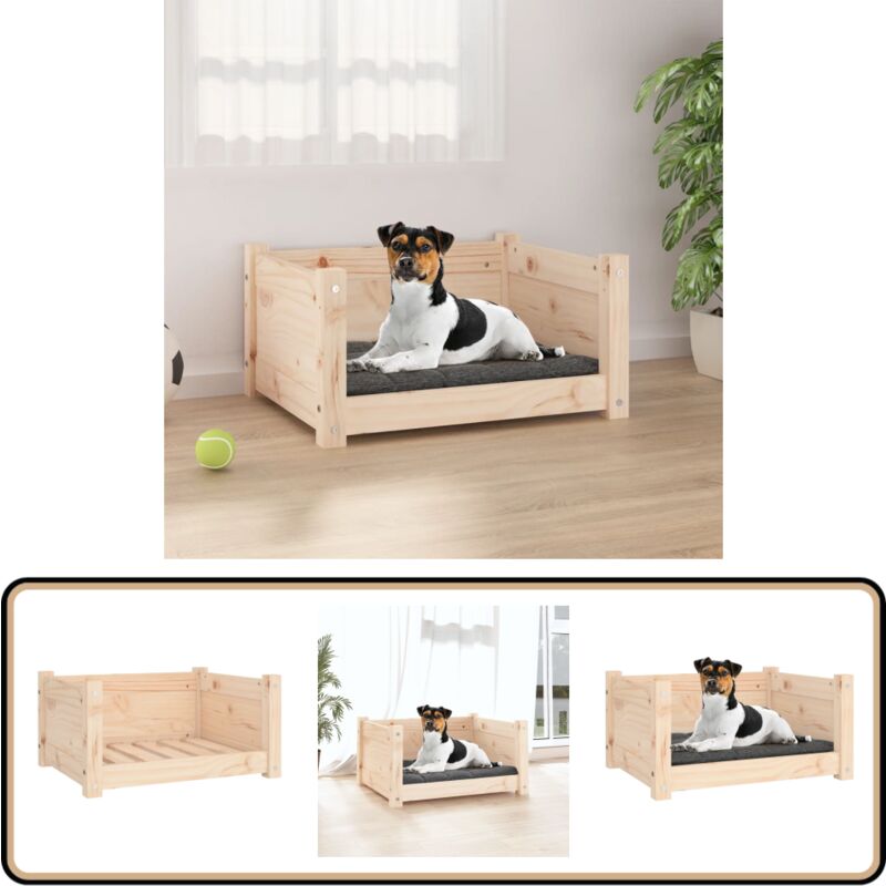 Vidaxl - Hundebett 55,5x45,5x28 cm Massivholz Kiefer - Hunde Bett - Hundehaus - Holz Tierbetten - Kiefernholz Bett - Hundebette Massiv