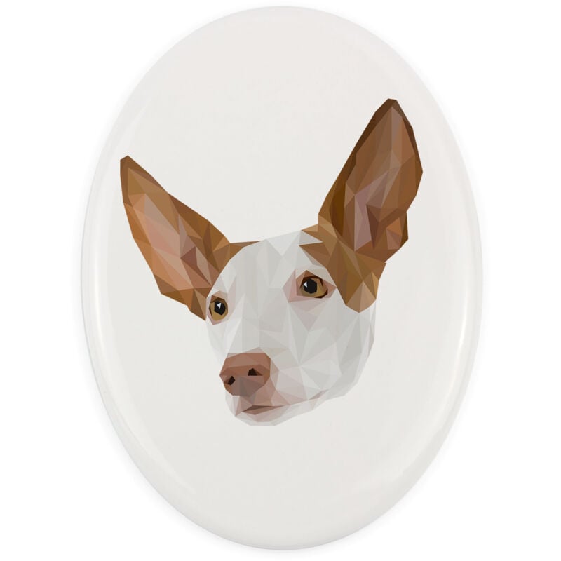 Ibizan Podenco, Podenco Ibicenco - ein Schild mit Foto und geometrischer Aufschrift von Art-Dog
