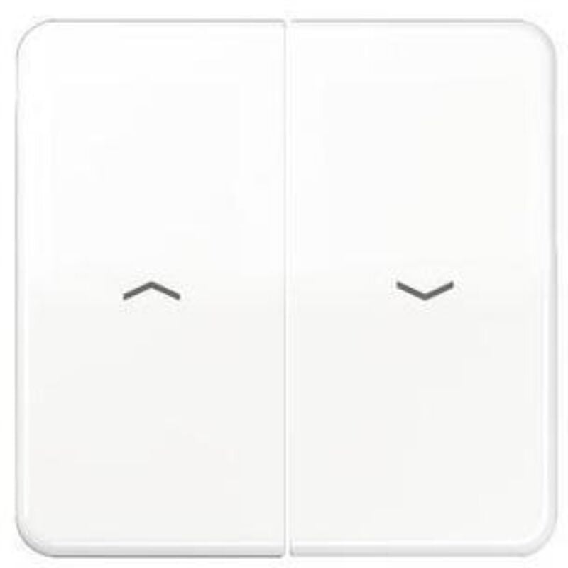 Jung - Wippe 2t Jalousie alpinweiß glänzend cd 595 p ww Pfeile