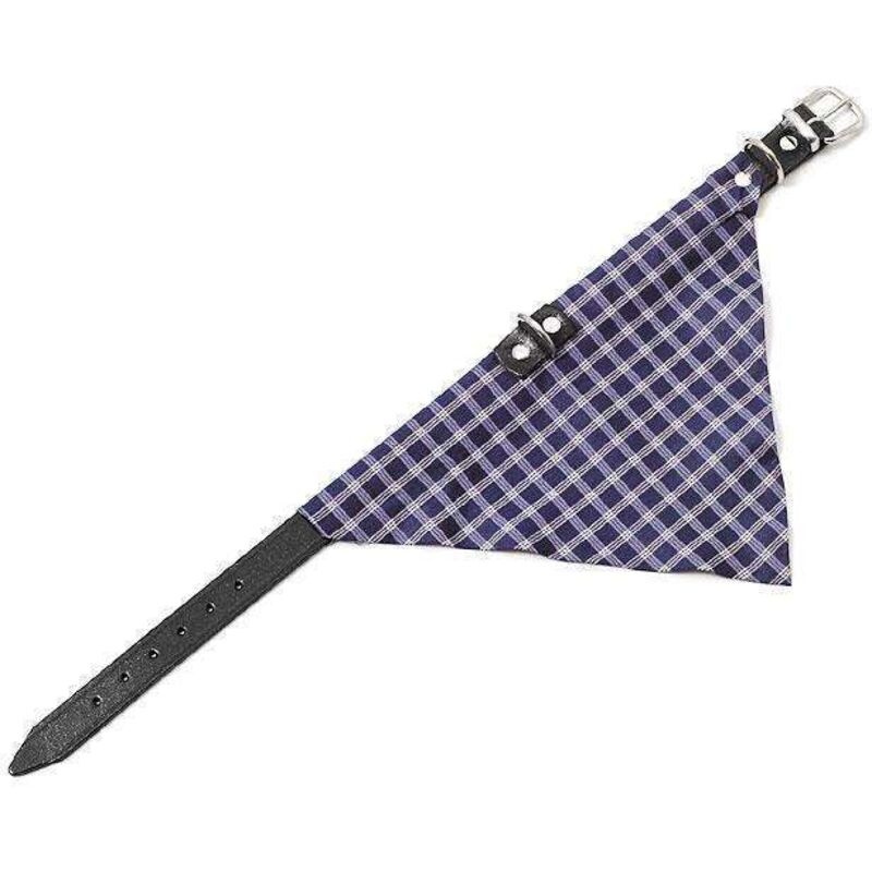 Karlie KOLIBRI Halsband - Blau - 25 mm, 62 cm