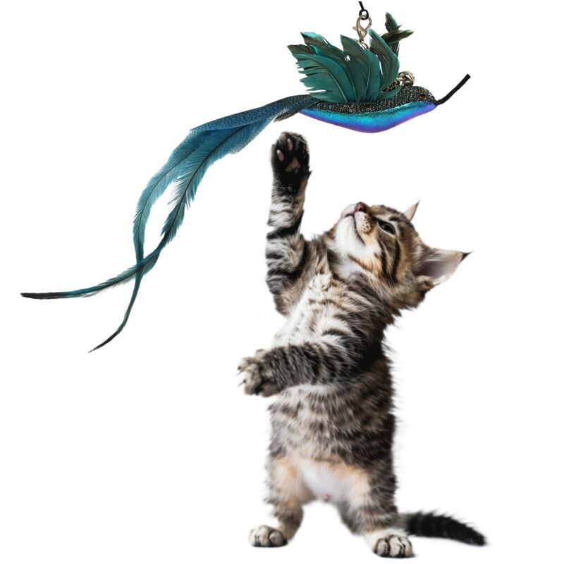 Katzenspielzeug Kolibri mit Federn und Glöckchen, austauschbarer Vogel für die Angelrute