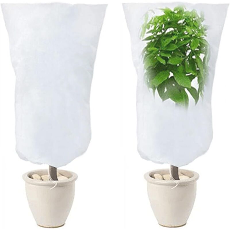 Set mit 2 Überwinterungsabdeckungen für Pflanzen, Überwinterungssegel für Pflanzen im Freien, Überwinterungssegel, Winterpflanzenschutzhülle für