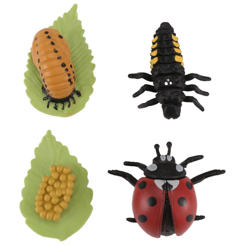 Leben Zyklus Figuren Von Schmetterling, Spinne, Biene, Marien , Libelle, Kunststoff Insekten Figuren, Spielzeug, Schul Projekt für Kinder