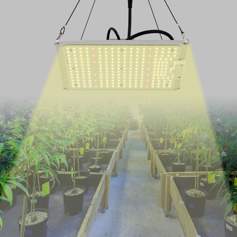 LED Wachstumslicht Indoor Grow Lampe für Flower Bloom Pflanzen Grow Zelt 110W