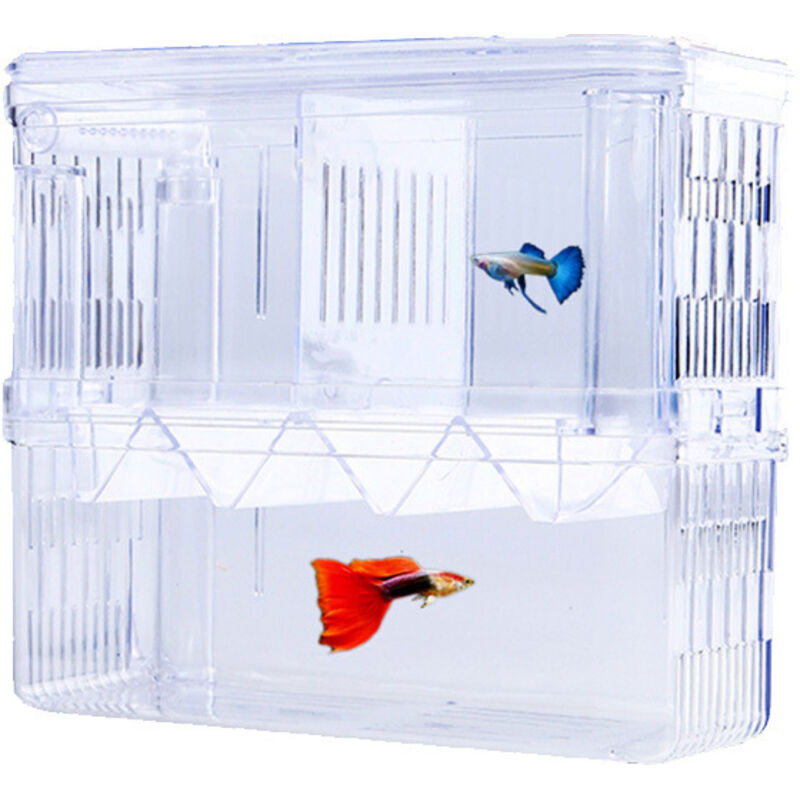Pcs Aquarium Baby Nistplatz Aquarium Mini Aquarium Aquarium Zuchtbox Aquarium Isolationsbox mit Isolierfach - Lntyq