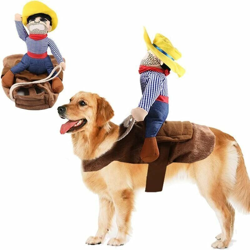 Costume pour animaux de compagnie drôle Cowboy chien Costume fantaisie Pet Cosplay vêtements adapté pour chien moyen grand chat