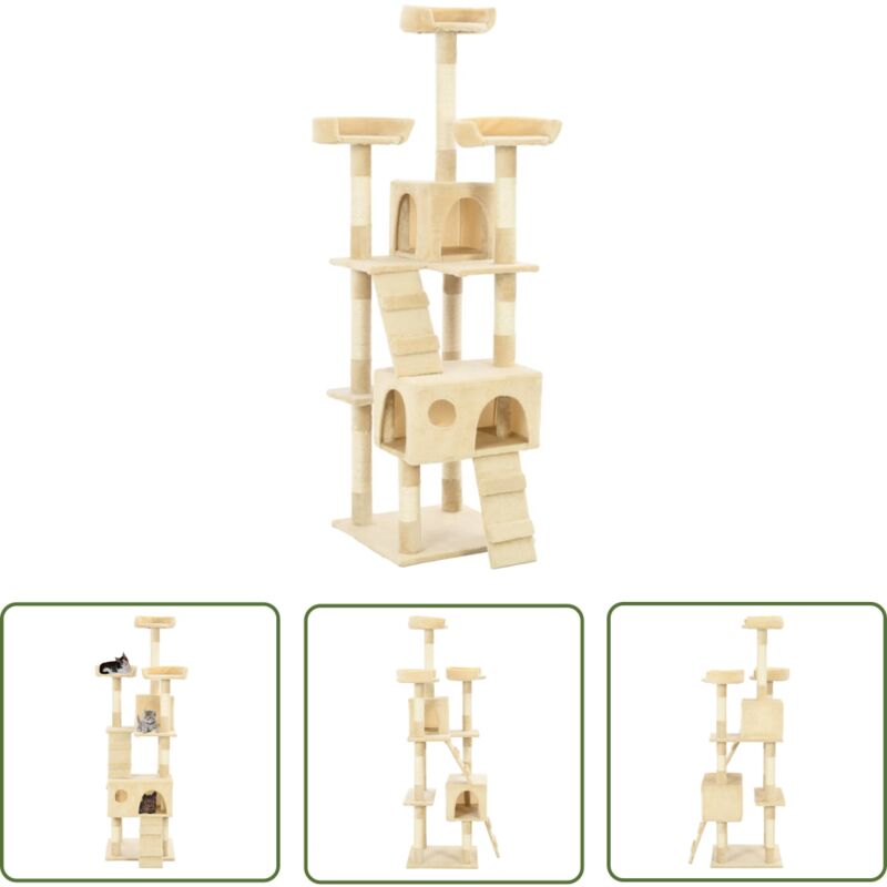 The Living Store Katzen-Kratzbaum mit Sisal-Säulen 170 cm Beige - Katzen Kratzbaum - Sisalsäule - Katzenmöbel - Katzenhaus - Katzenkletterbaum