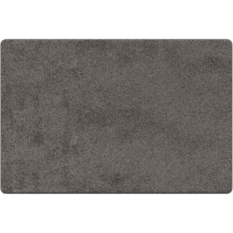 Maison Exclusive - Teppichläufer Grau 100 x 150 cm 100% Polypropy