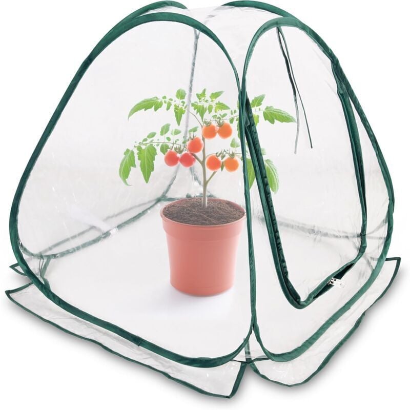 Mini-Popup-Gewächshaus 70 x 70 cm – kleines Gewächshaus für Gemüse, Blumen und Pilze – transparentes PVC-Überwinterungszelt für Pflanzen – kein