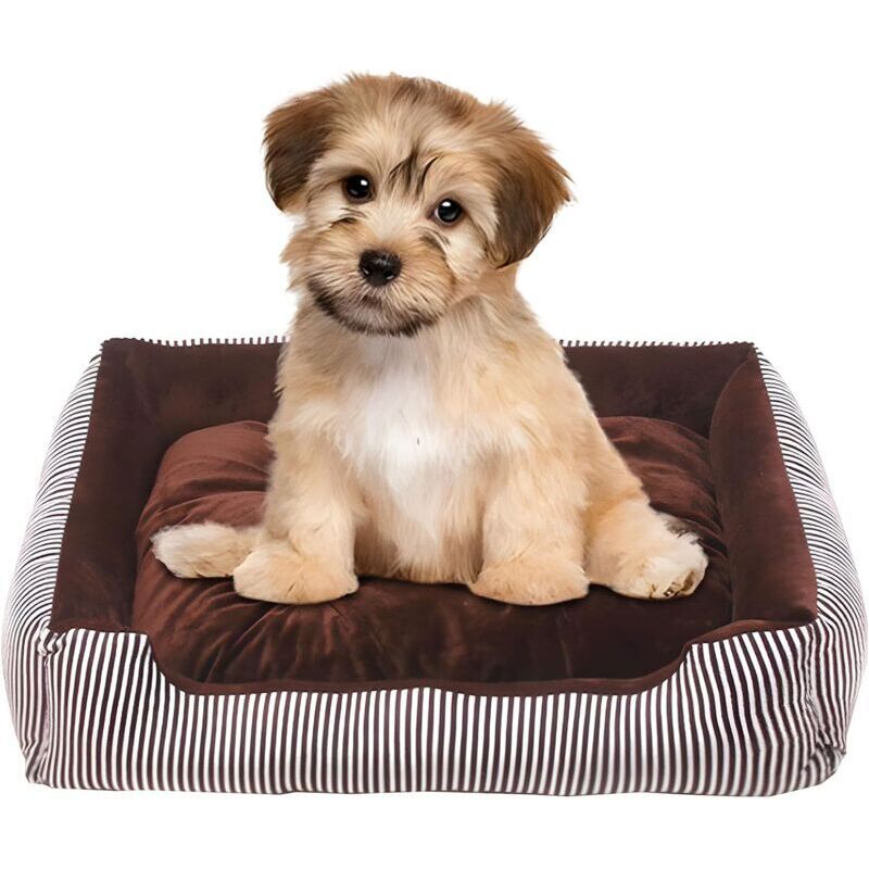 Mittelgroßes Hundebett, waschbares, rutschfestes, orthopädisches Hundebett, Hundebett mit erhöhtem Rand, ergonomisches Hundesofa, mit wendbarem