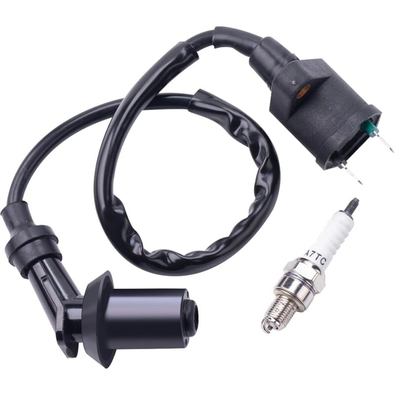 Motorzündspule kompatibel mit GY6 50ccm-150ccm-Motorrädern, Honda-ATVs, Taotao-Dirtbikes, Kymco-Rollern, Mopeds und Go-Karts.