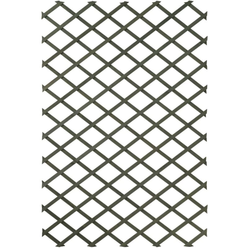 Nature - Garten-Rankgitter 2 Stk. 100 x 200 cm Holz Grün