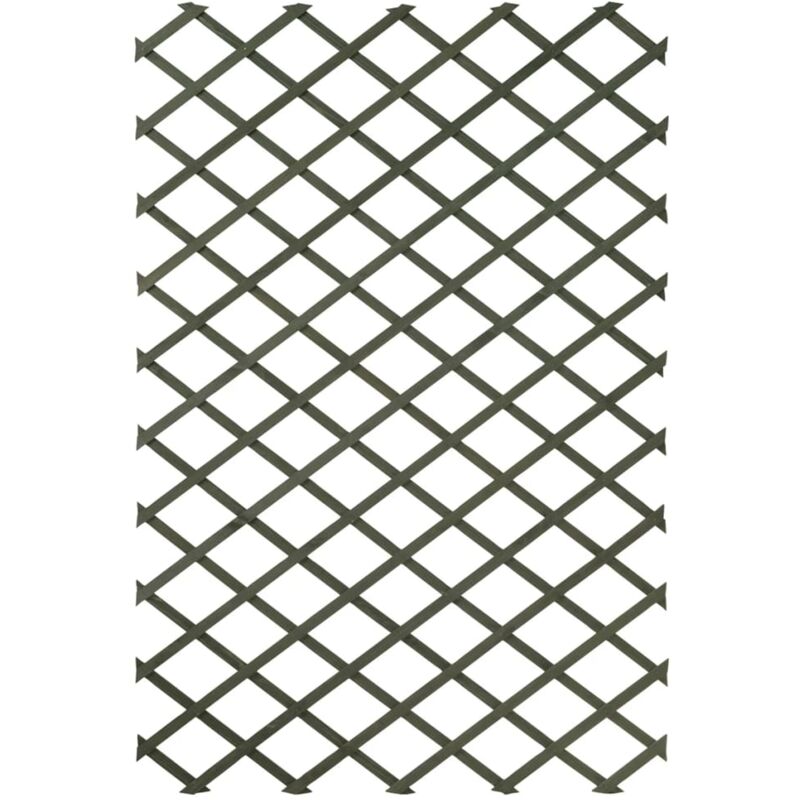 Garten-Rankgitter 100x200 cm Holz Grün 6041704 Nature