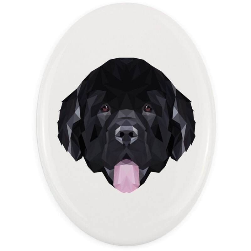 Neufundland, Neufundland, Wasserfall - eine geometrische Fliese mit Foto und Aufschrift von Art-Dog