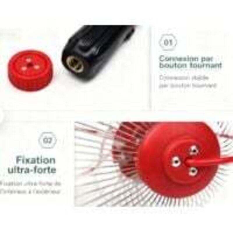 Nuss-/Kastaniensammler – Einfacher und effizienter Sammler – Für Rasen und Garten – Leicht und einfach zu handhaben – Für Gärtner und Naturliebhaber