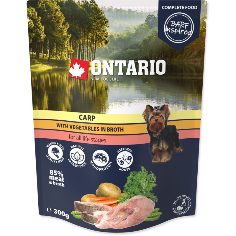 Ontario-Karpfen mit Gemüse in Brühe 300g