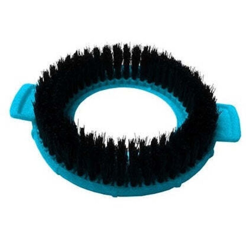 Orange donkey - sturmspinnpinsel