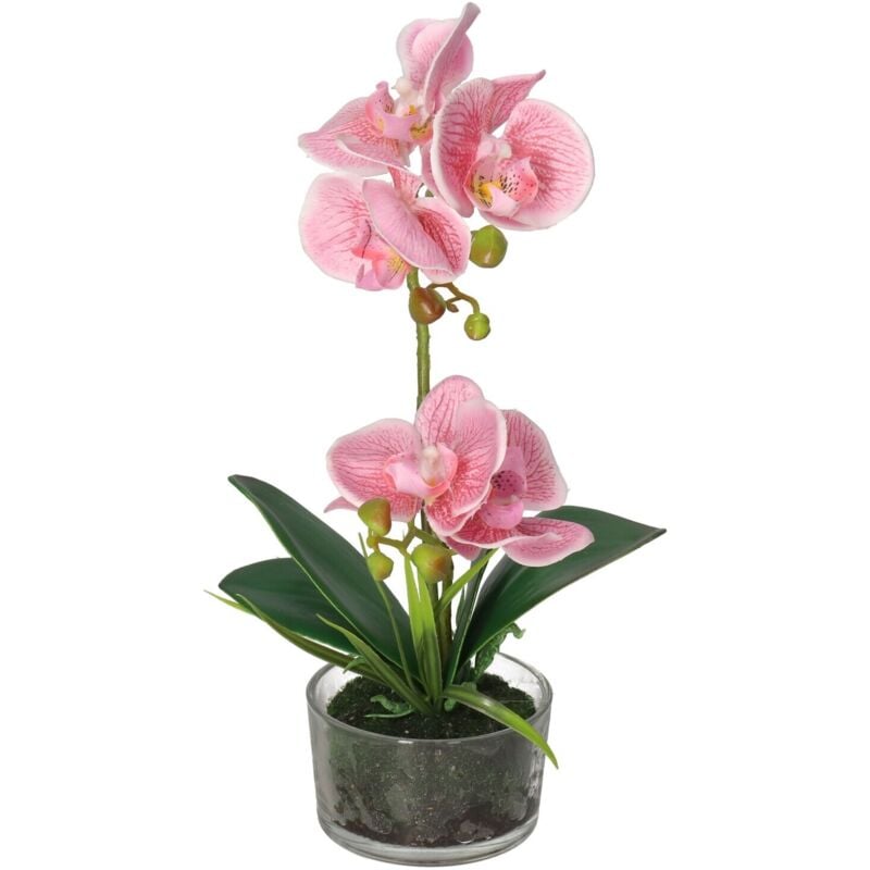Orchidee Orchidee Kunstblumen im Premiumtopf