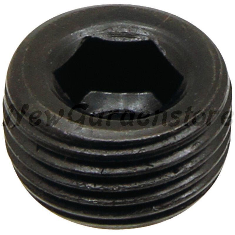 ORIGINAL LONCIN Rasentraktor Ölablassschraube 110260026-0001