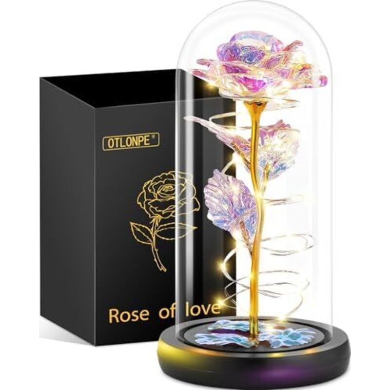 Otlonpe Ewige Rose Geschenke für Frauen, Blumen Geburtstagsgeschenk Weihnachten Geschenke Muttertagsgeschenke Valentinstag Rose Geschenk für Sie