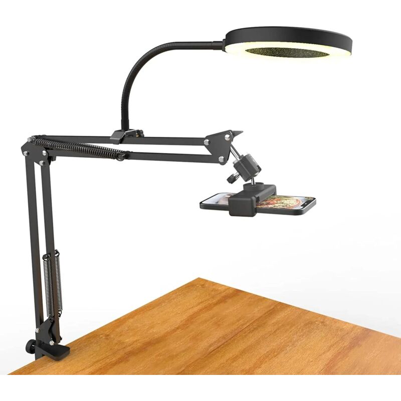 Overhead Stativ Handy mit Ringlicht, flexibler Tisch Kamera Arm mit Licht, flexible Tisch Kamera Befestigung für Live Stream Videoaufzeichnung