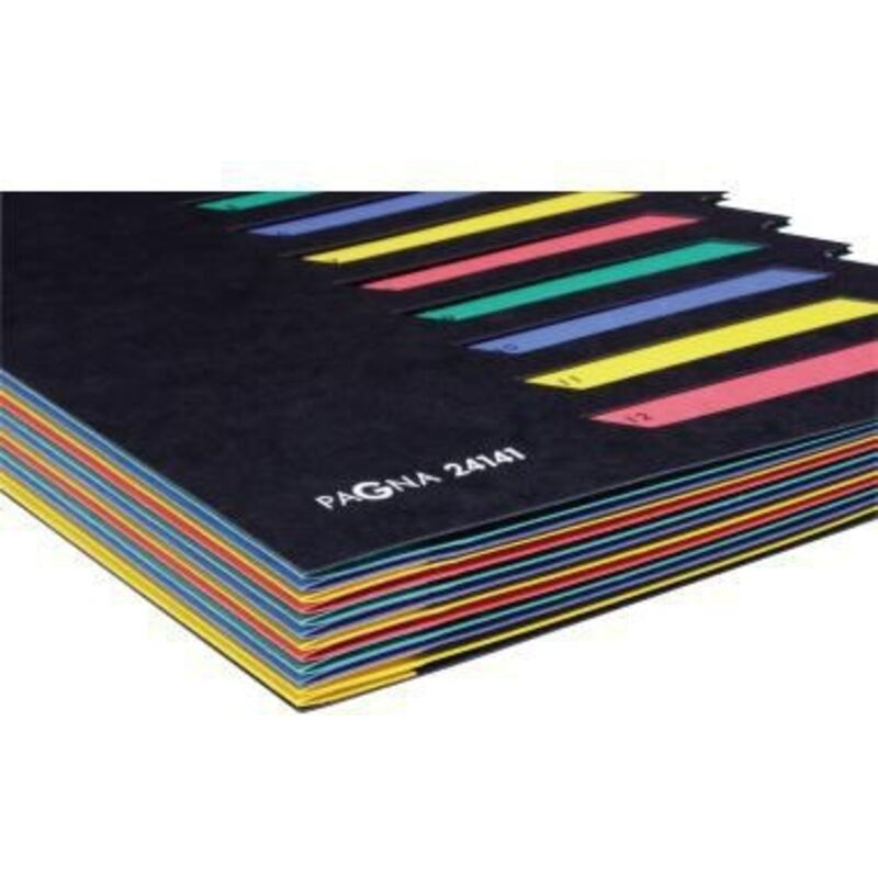 Ordnungsmappe Deskorganizer Classic din A4 Pressspan Farbe: schwarz Farbe des Fächerblocks: mehrfarbig 12 Fächer
