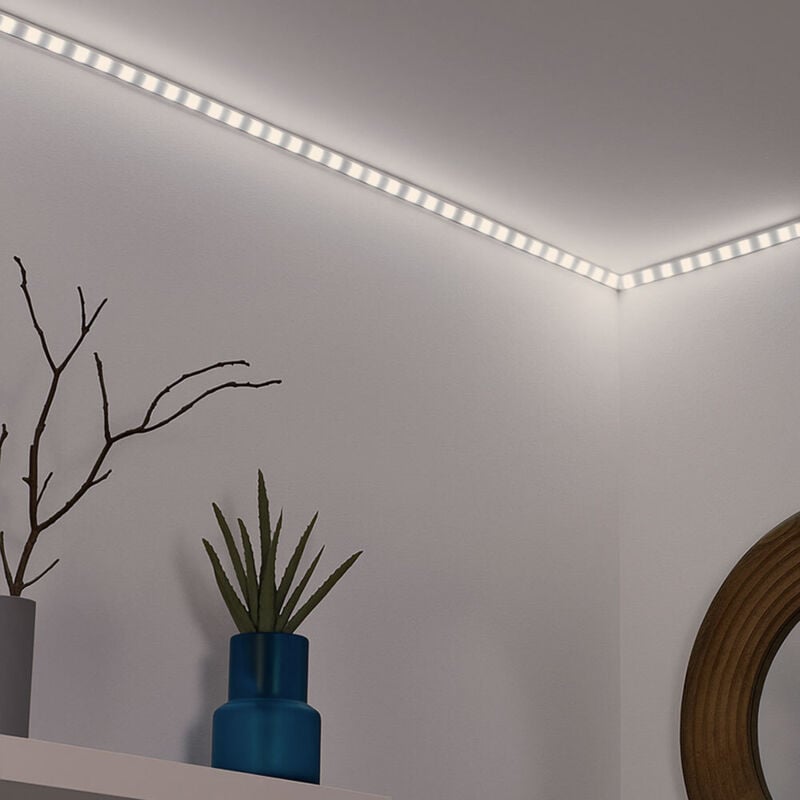 LED Streifen 24V LED Strip dimmbar LED Band selbstklebend, Schalter, inkl. Trafo, 50W 5500Lm 4000K, L 500 cm