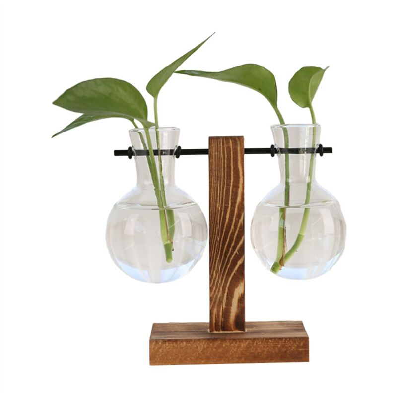 Pflanzenvermehrungsstationen Desktop-Terrarium, Glaspflanzgefäß mit Ständer, Vermehrungsstation für Hydrokulturpflanzen