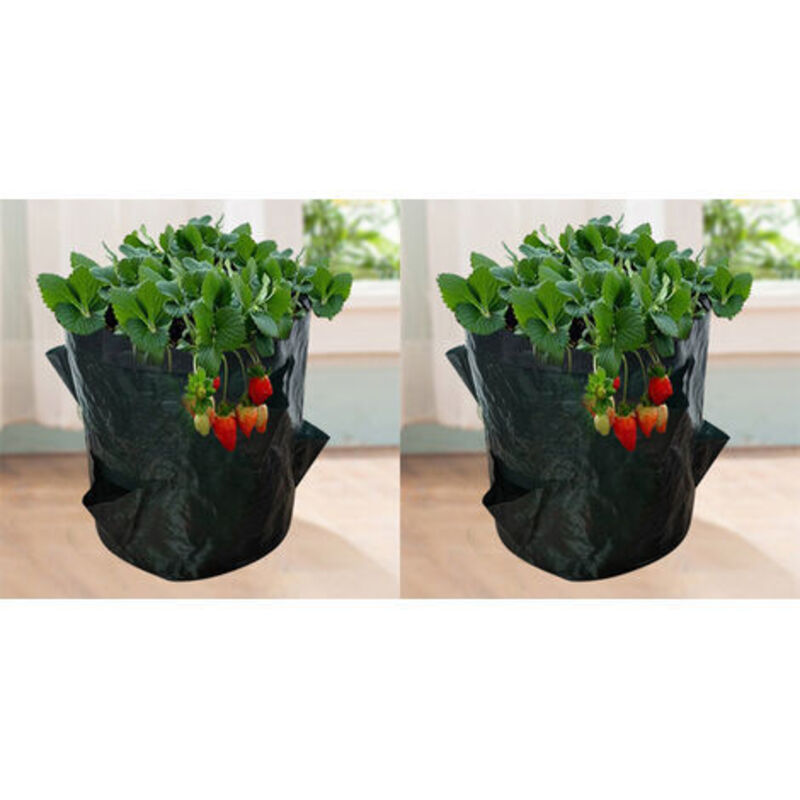 Pflanzsäcke für Erdbeeren 18L (2er Set) - Vliesstoff Töpfe mit Sichtfenster - 23x28cm, 4 Öffnungen - Garten Säcke für Gemüse, Kräuter, Tomaten &