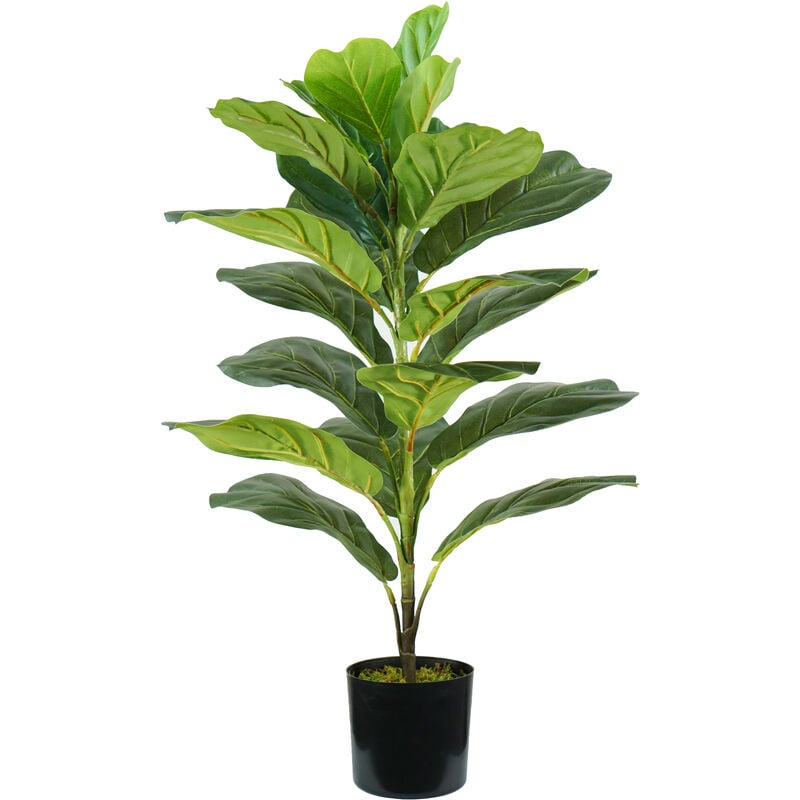 King Home Pflanze FICUS LYRATA H. 75 cm 21 LEAVES komplett mit Moostopf