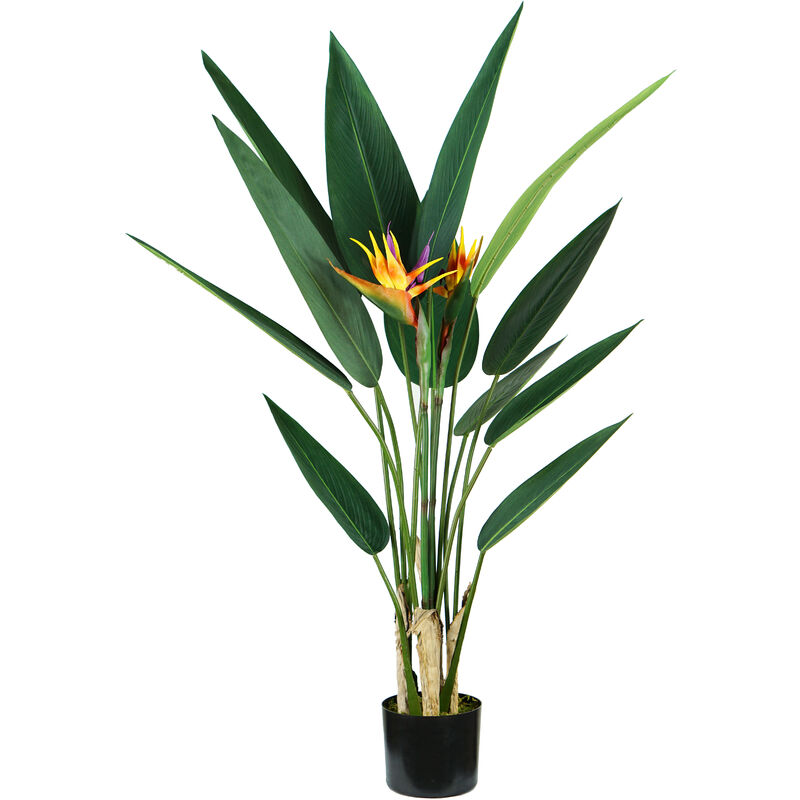King Home STRELITZIA Pflanze H. 120 cm 12 BLÄTTER + 2 BLUMEN komplett mit Moostopf