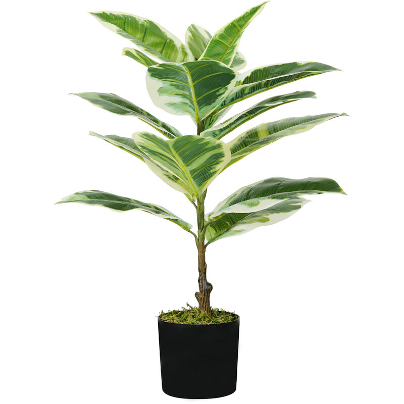 King Home Pflanze FICUS ELASTIC H. 65 cm 15 LEAVES komplett mit Topf mit Moos