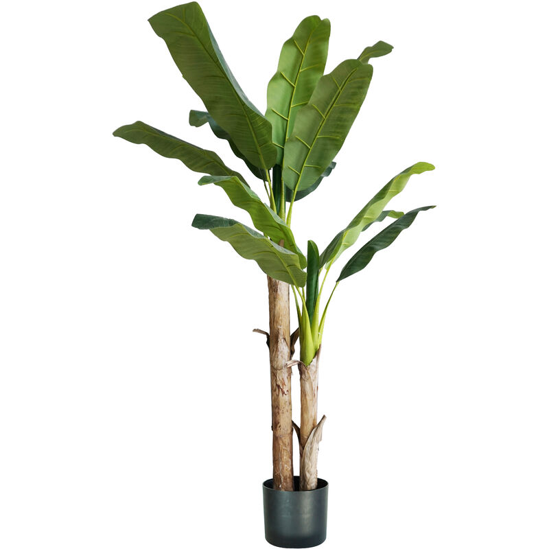 King Home Pflanze BANANO H. 170 cm 17 LEAVES komplett mit Moostopf