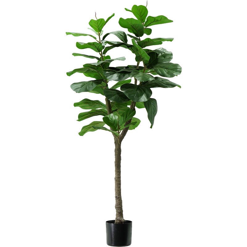 King Home Pflanze FICUS LYRATA H. 130 cm 60 LEAVES komplett mit Moostopf