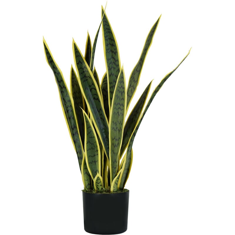King Home SANSEVIERIA Pflanze H. 75 cm 21 LEAVES komplett mit Topf mit Moos