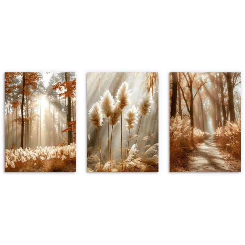 Poster Wald in der Sonne Boho-Stil Poster fürs Schlafzimmer Poster fürs Wohnzimmer 3x 50x70cm